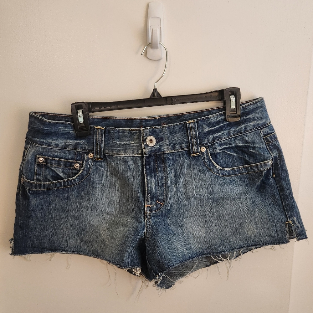 American Eagle Denim 5-pocket Distressed Shorts